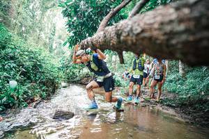 BIB: 
                            <button type="button" onclick="openModal(25372842)" class="btn btn-primary btn-sm float-right btn-popup" data-toggle="modal" data-target=".modal-high-quality">
                        <i class="fas fa-shopping-cart"></i> Add to Cart
                    </button>
                                            <button type="button" onclick="isThisMe(25372842, true)" class="btn btn-success btn-sm float-right btn-popup btn-isme hidden" data-toggle="tooltip" data-placement="bottom" title="นี่คือรูปของคุณใช่ไหม คลิกที่นี่เพื่อเอาเข้าอัลบั้ม">
                        <i class="fas fa-plus"></i> Add to album
                    </button>
                    <button type="button" onclick="isThisMe(25372842, false)" class="btn btn-warning btn-sm float-right btn-popup btn-isnotme hidden">
                        <i class="fas fa-ban"></i> Remove from album
                    </button>